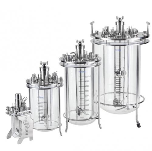 Лабораторный биореактор DuoBioX™ Explore Duoning