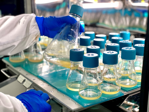 Колба для культивирования клеток Duoning